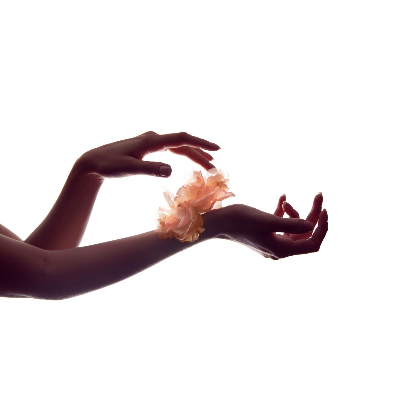 BATH & BODY Category Image