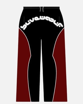 STYLISH SURGE PANTS image