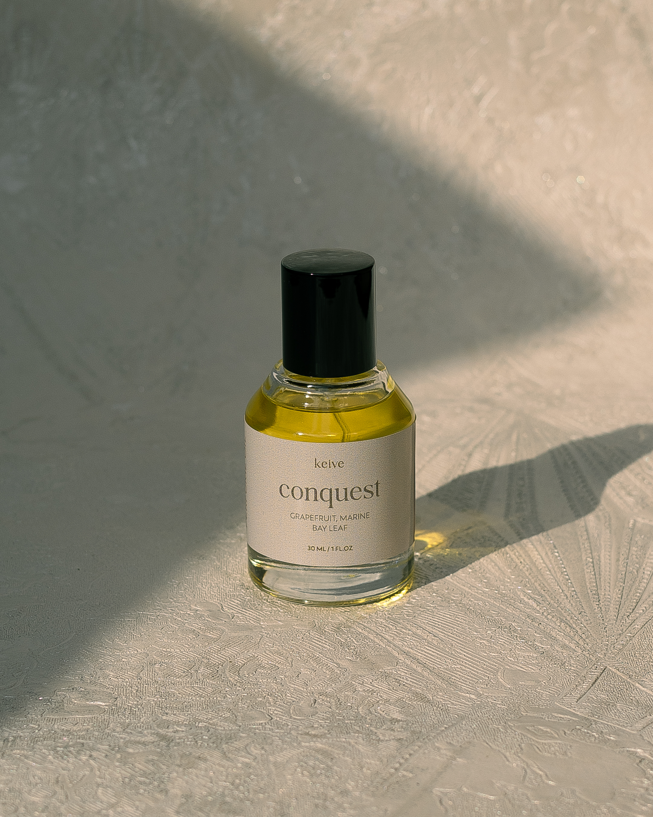 CONQUEST