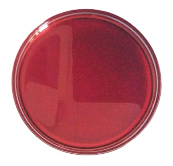 Astaxanthin Oil image