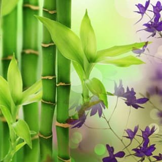 Australian Bamboo Grass Fragrance Oil Natures Garden image