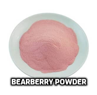 Bearberry Fruit Extract Powder - Pink image