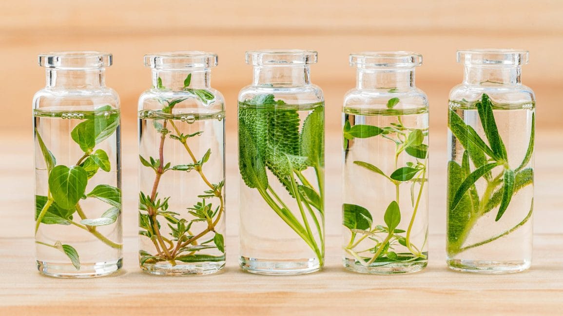 Black Widow Fragrance image