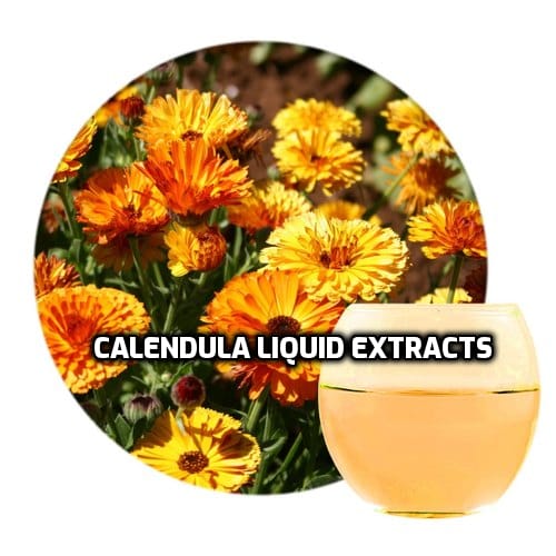 Calendula Liquid Extract image