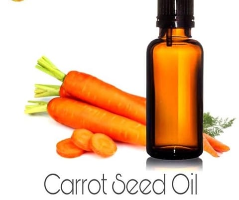 Carrot Seed Essential Oil