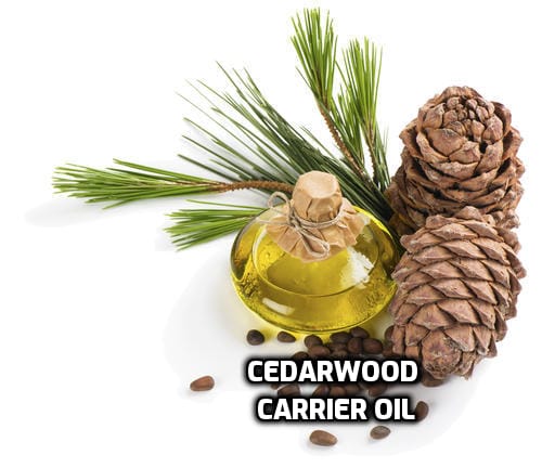 Cedarwood Carrier Oil image