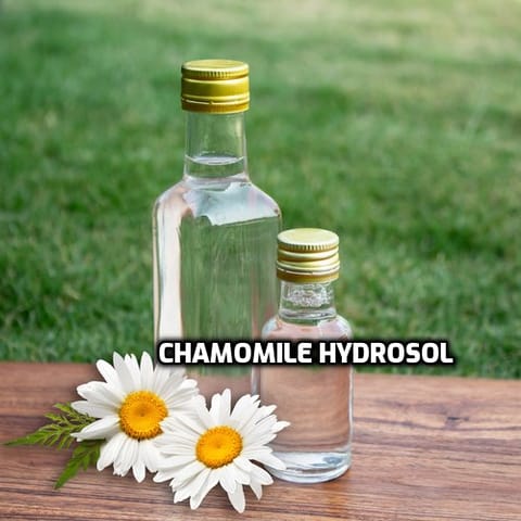 Chamomile Hydrosol