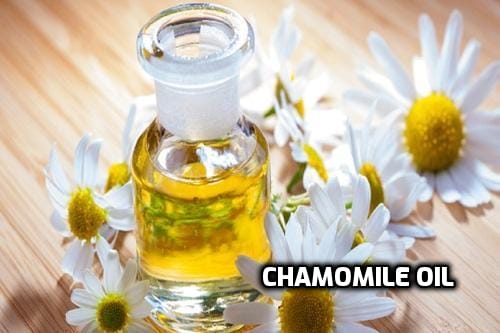 Chamomile Carrier Oil image