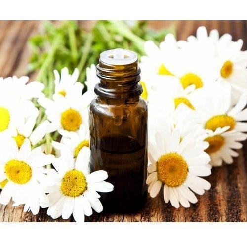 Roman Chamomile Essential Oil image