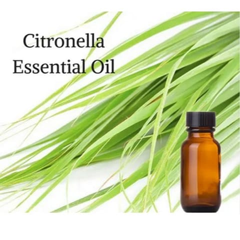 Citronella Essential Oil