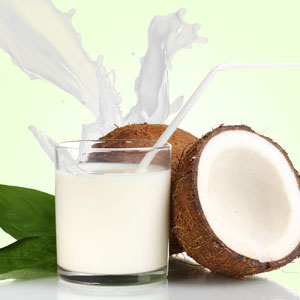 Creamy Coconut Fragrance Oil by Natures Garden