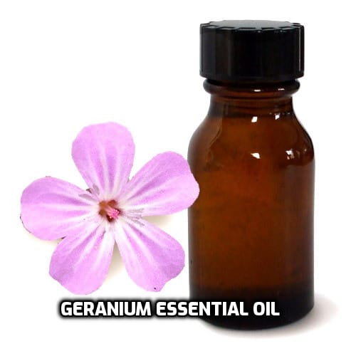 Geranium Essential Oil image