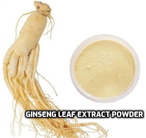 Ginseng Leaf Extract Powder image