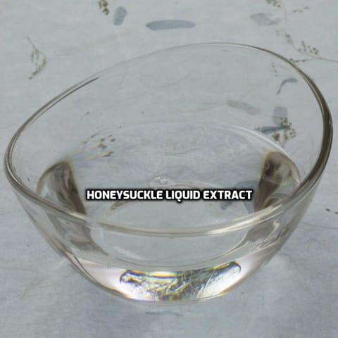 Honeysuckle Liquid Extract