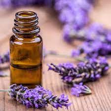 Lavender Essential Oil image