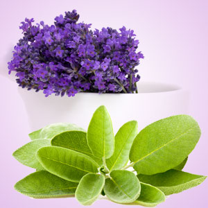 Lavender Sage Fragrance Oil image