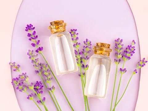 Lavender Carrier Oil - Clear colour