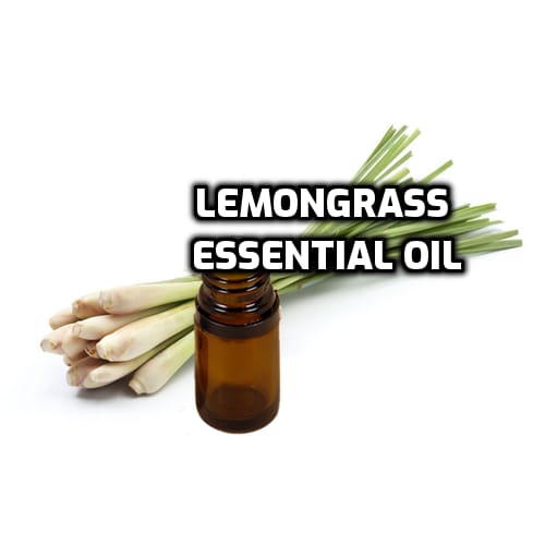 Lemongrass Essential Oil image