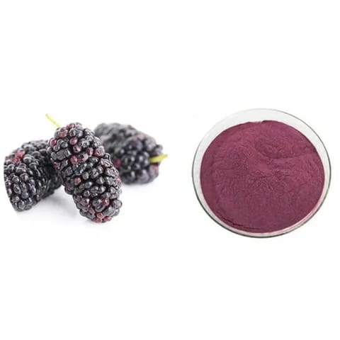 Mulberry Fruit Extract Powder - Purple