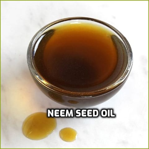 Neem Seed Oil