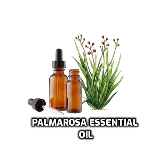 Palmarosa Essential Oil