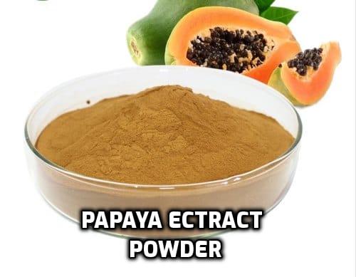 Papaya Powder Fruit Extract image