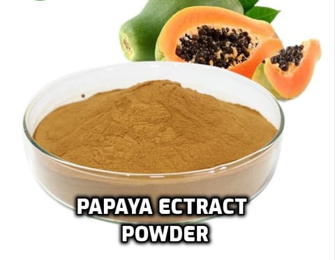 Papaya Powder Fruit Extract