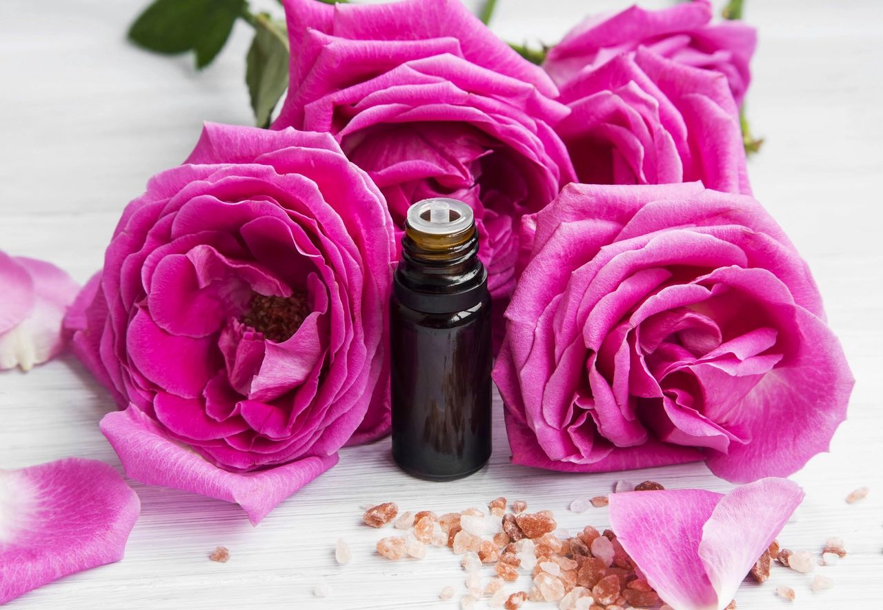 Rose Absolute Essential Oil image