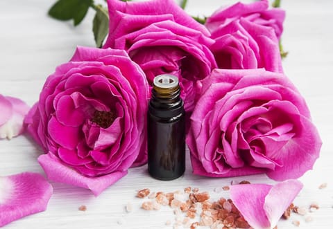 Rose Absolute Essential Oil