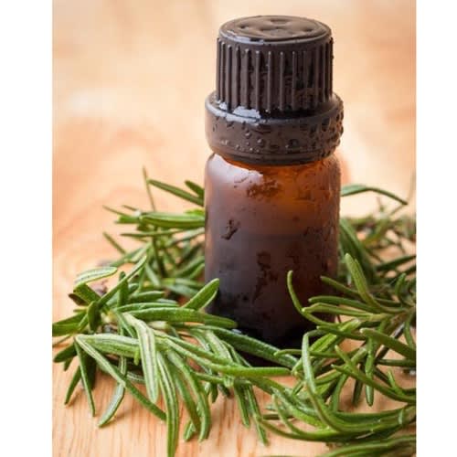 Rosemary Essential Oil image