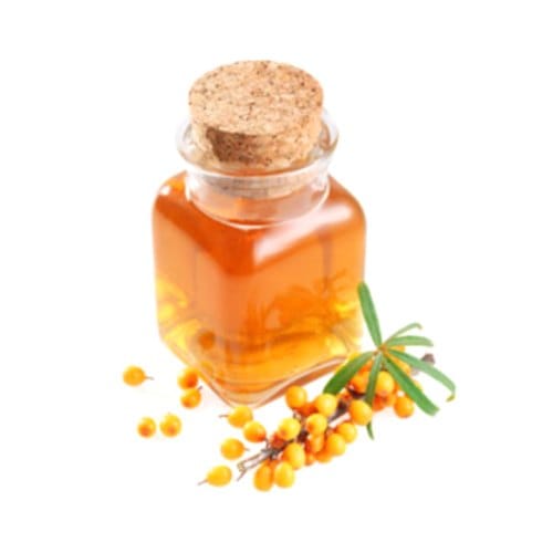 Sea Buckthorn Liquid Extract image