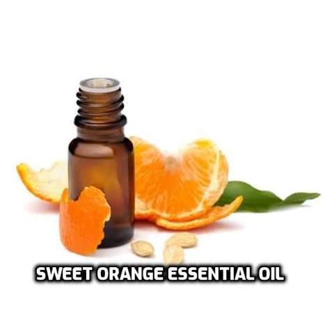 Sweet Orange Essential Oil