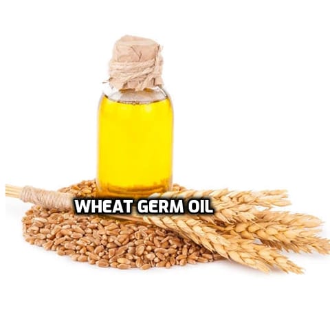 Wheat Germ Oil