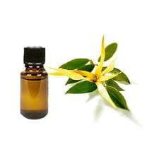 Ylang Ylang Essential Oil image