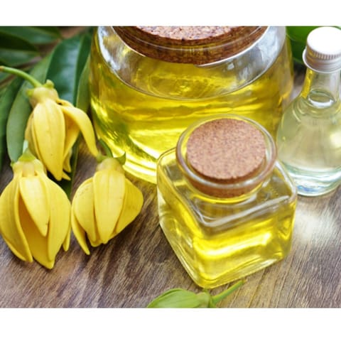 Ylang Ylang Carrier Oil