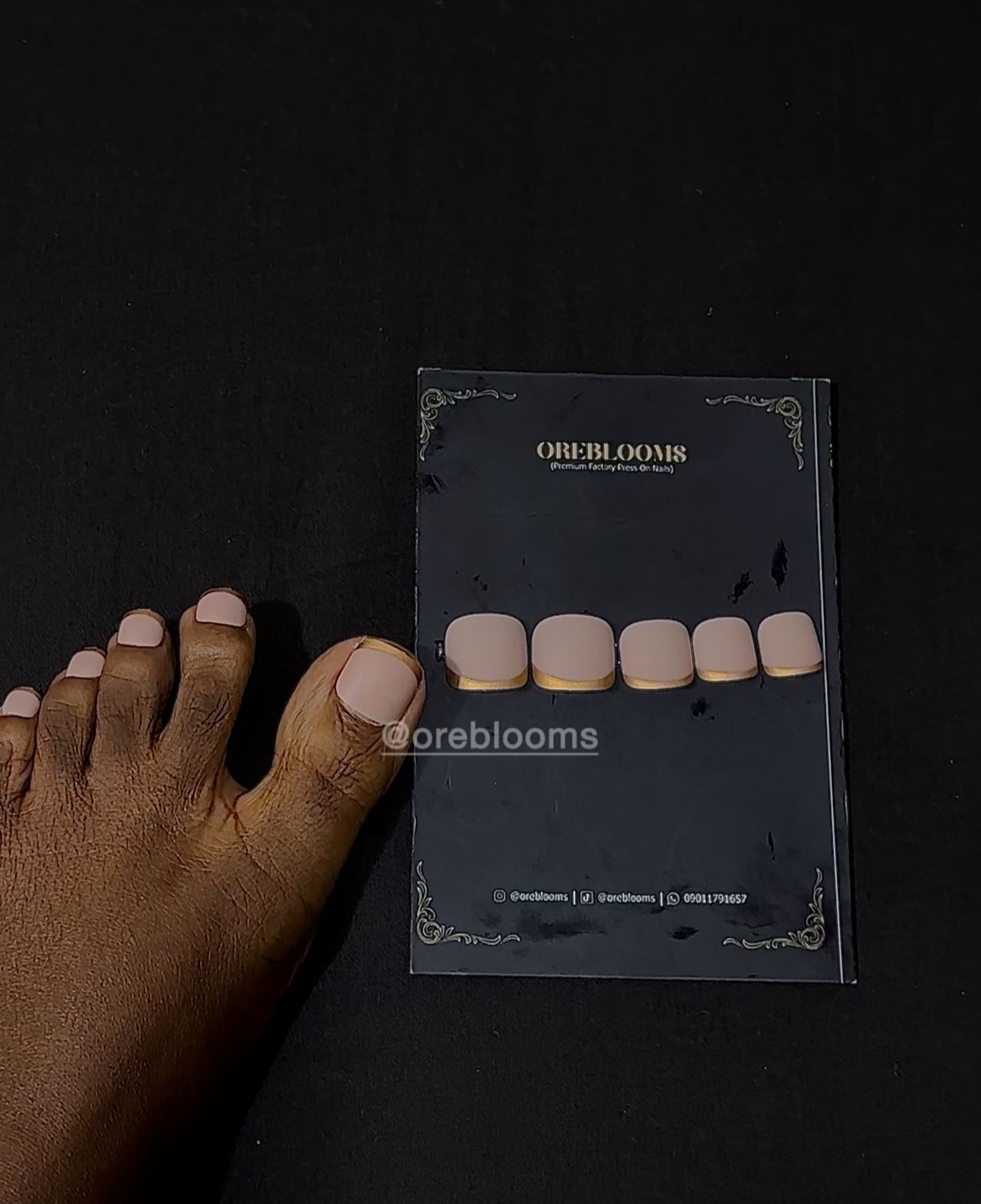 TN10 Toe Nails Nude Matte Gold French Tip image