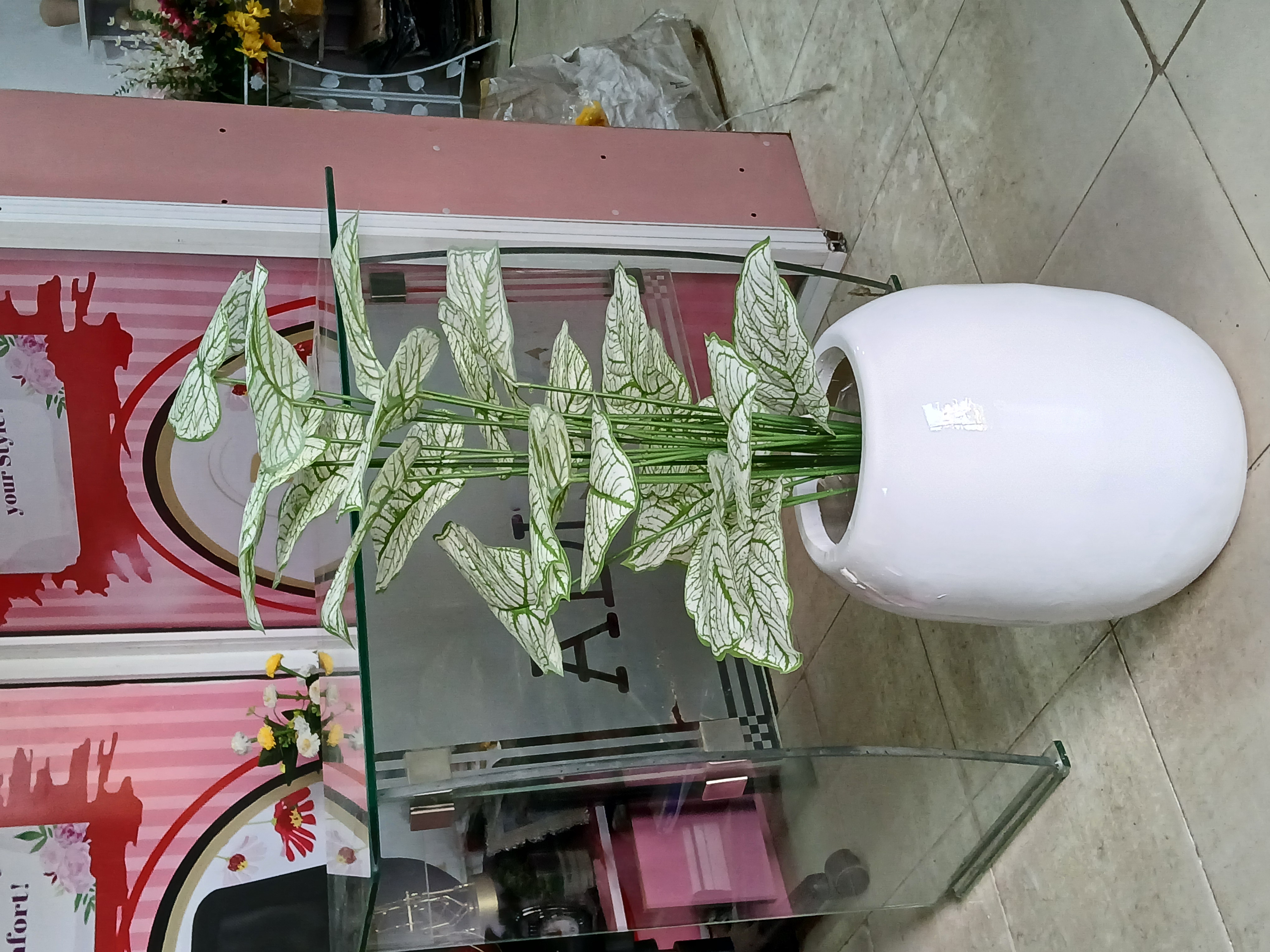 Bunch Tree In Fibre Planter Image