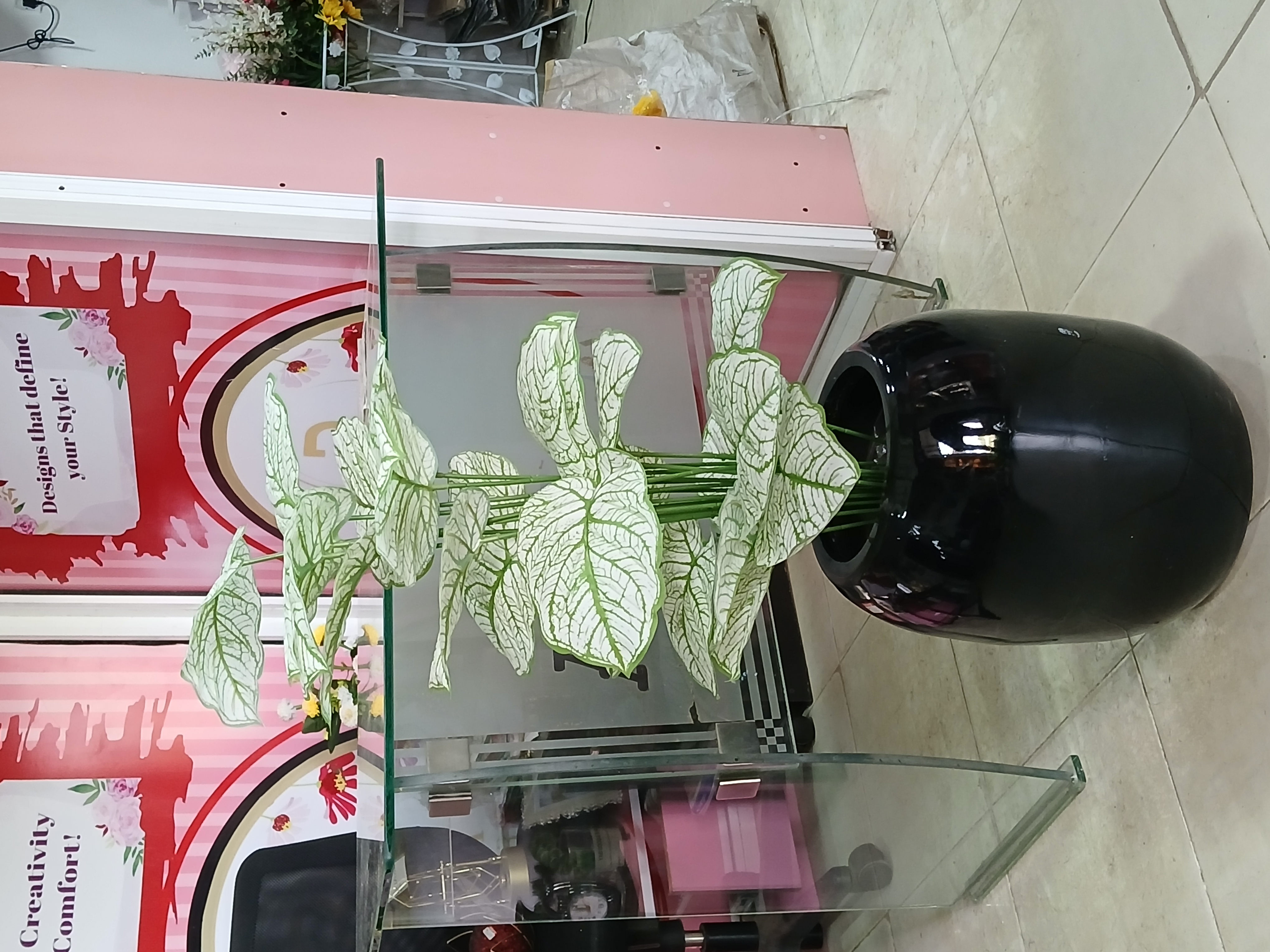 Bunch Tree In Fibre Planter Image