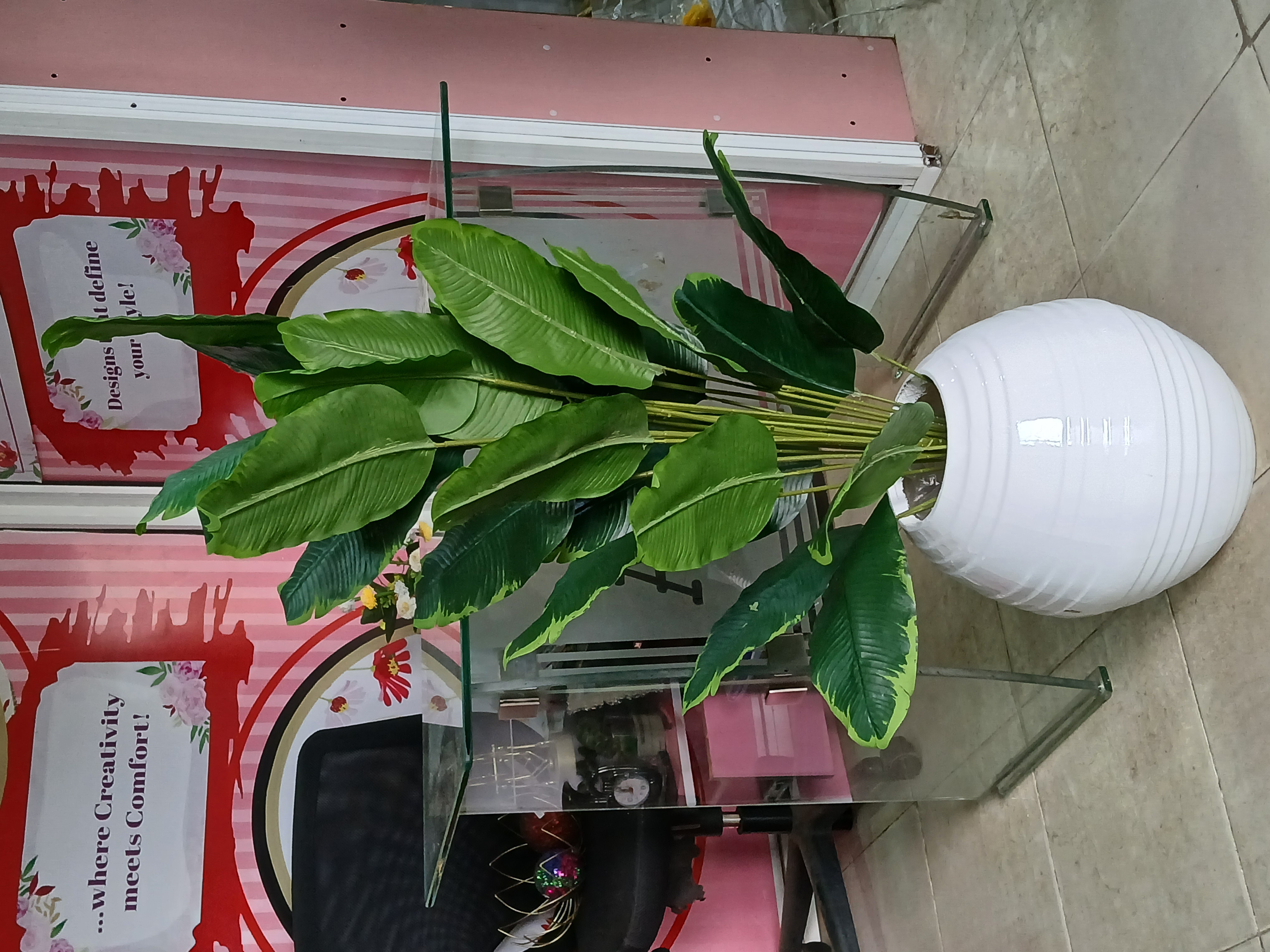 Bunch Tree In Fibre Planter Image