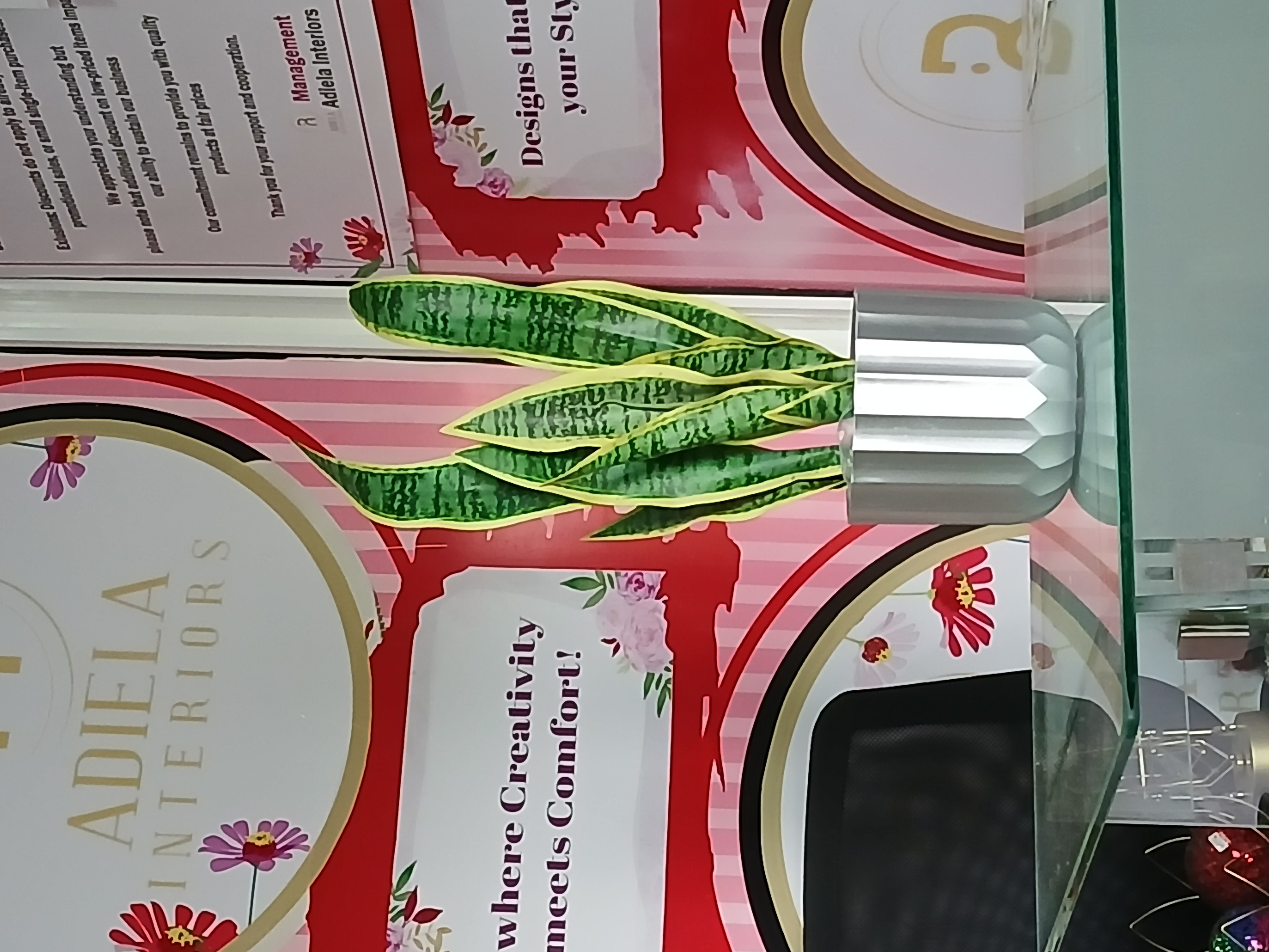 Artificial Snake Plant In Plastic Vase Image
