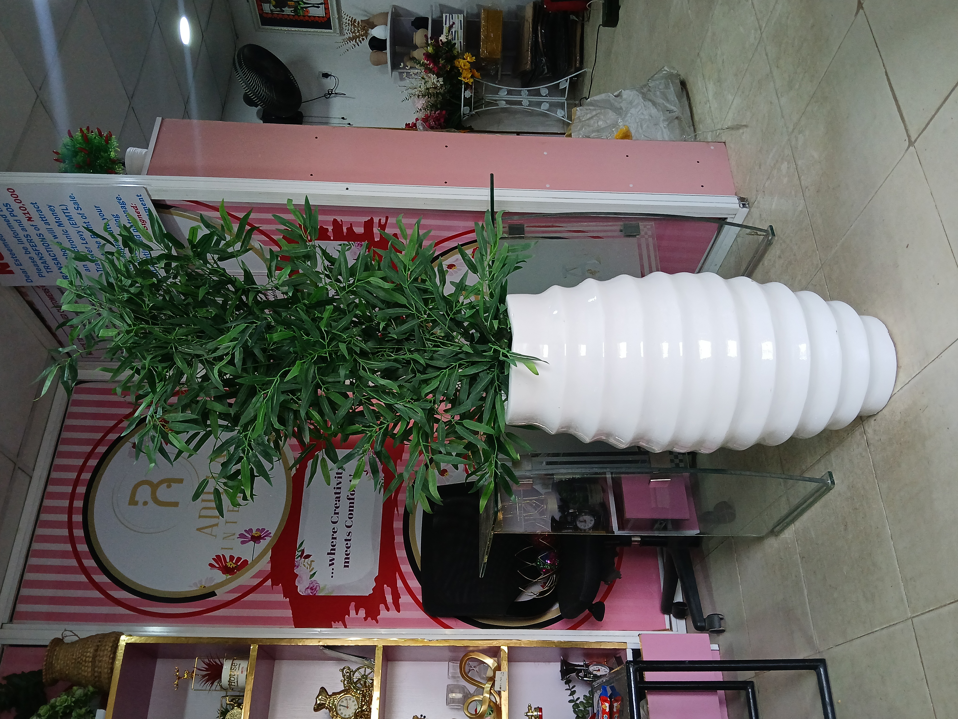 Bamboo Tree In Fibre Planter Image