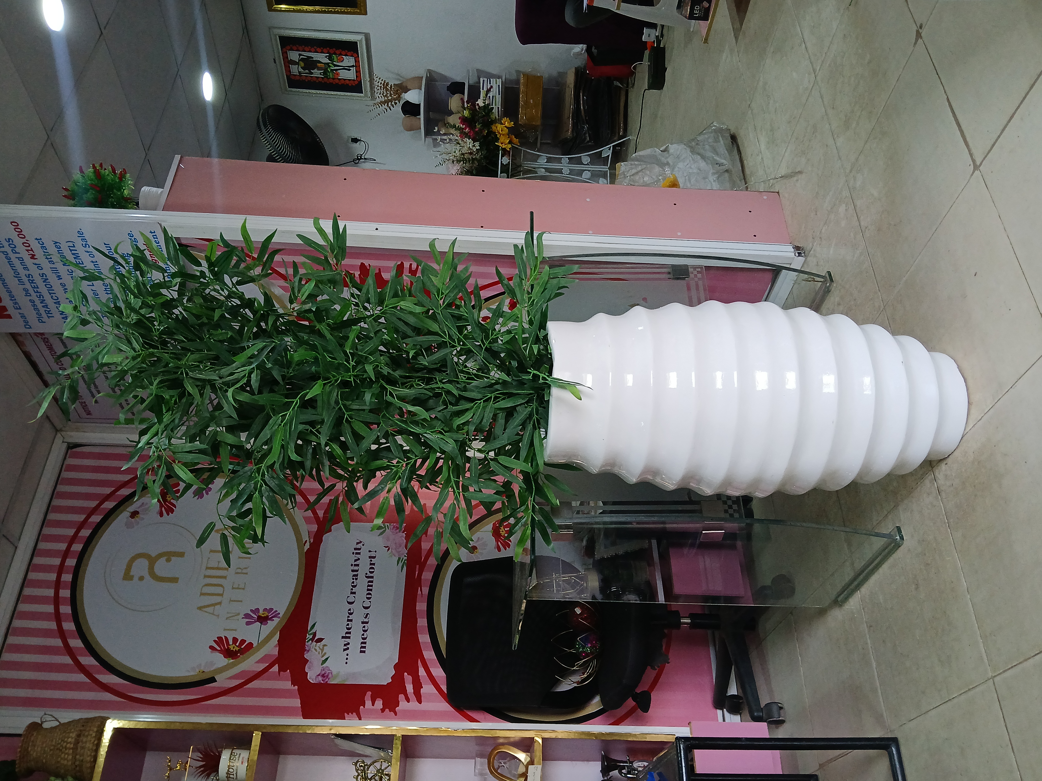 Bamboo Tree In Fibre Planter Image