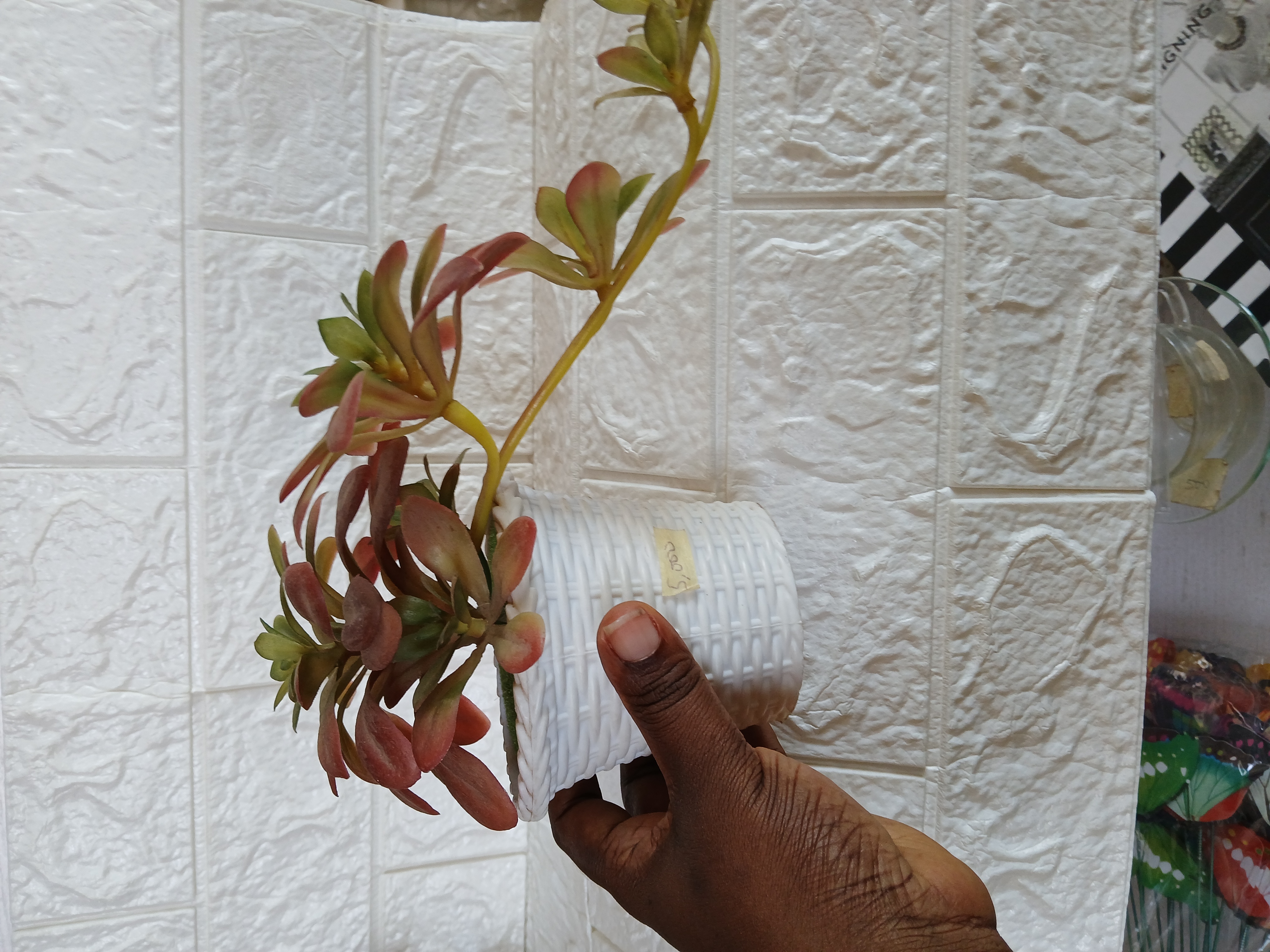 Potted Flower Vase Image