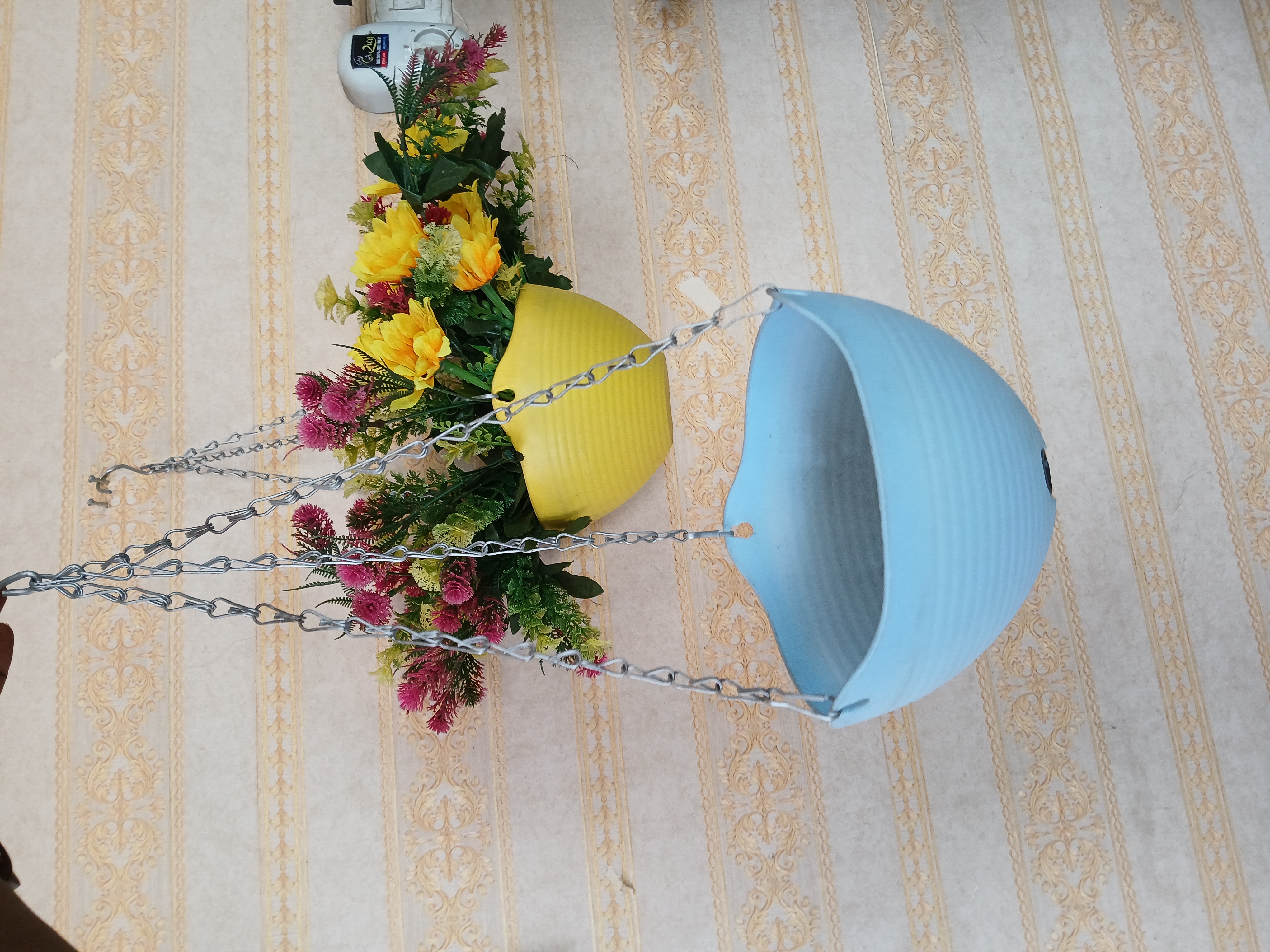 Hanging Planter for Plants Image