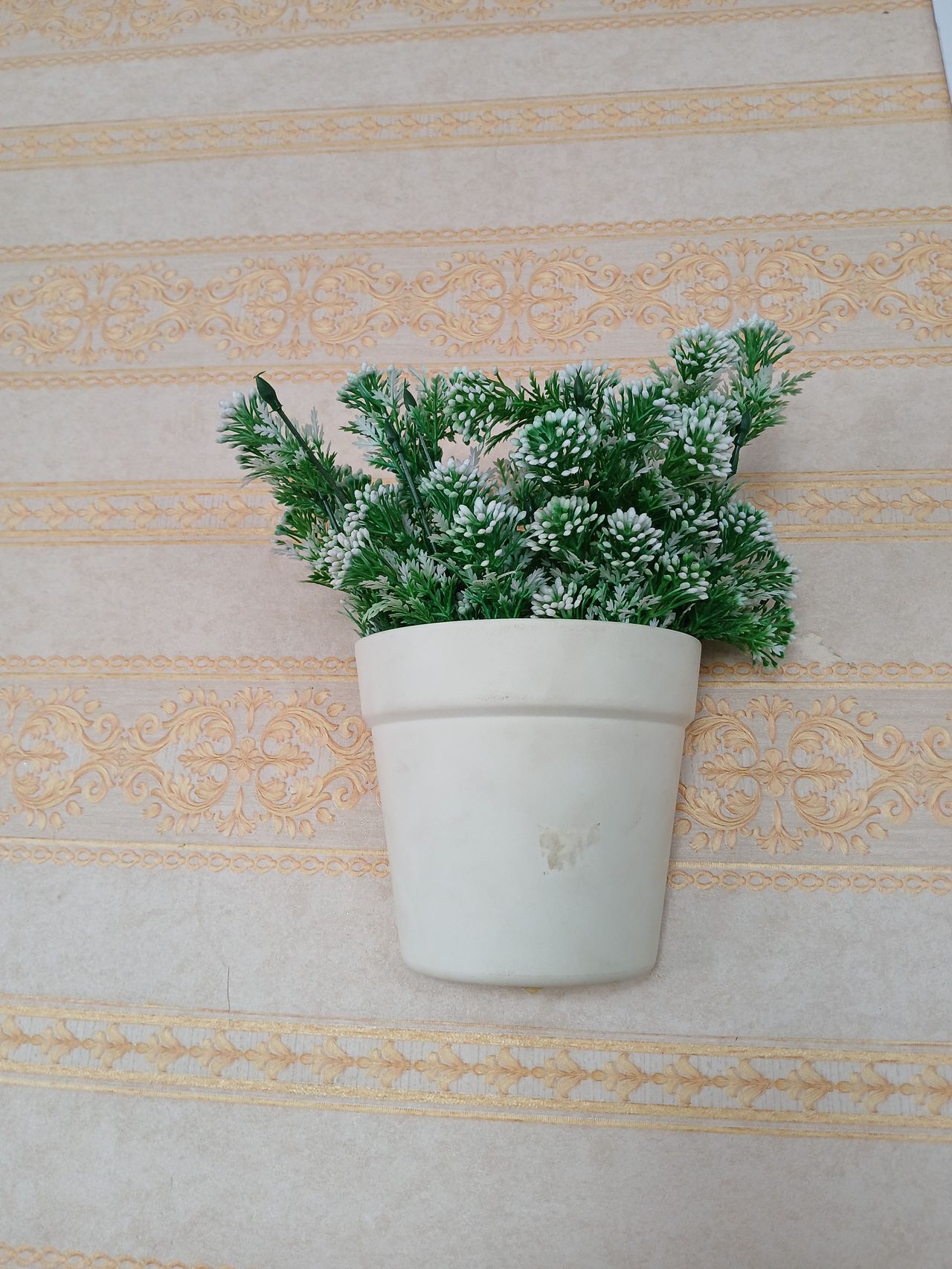 Wall Hanging Planters Image