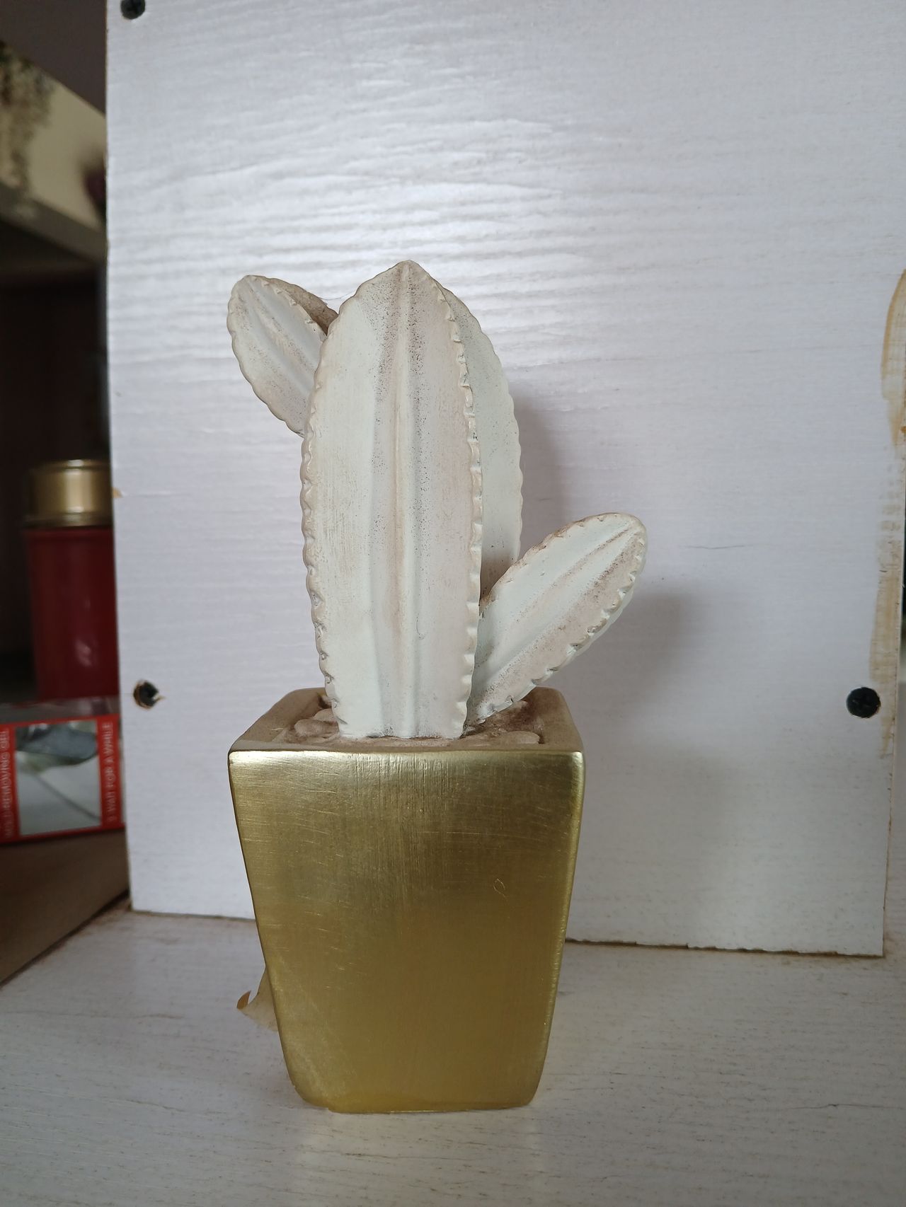 Cactus Decor Image