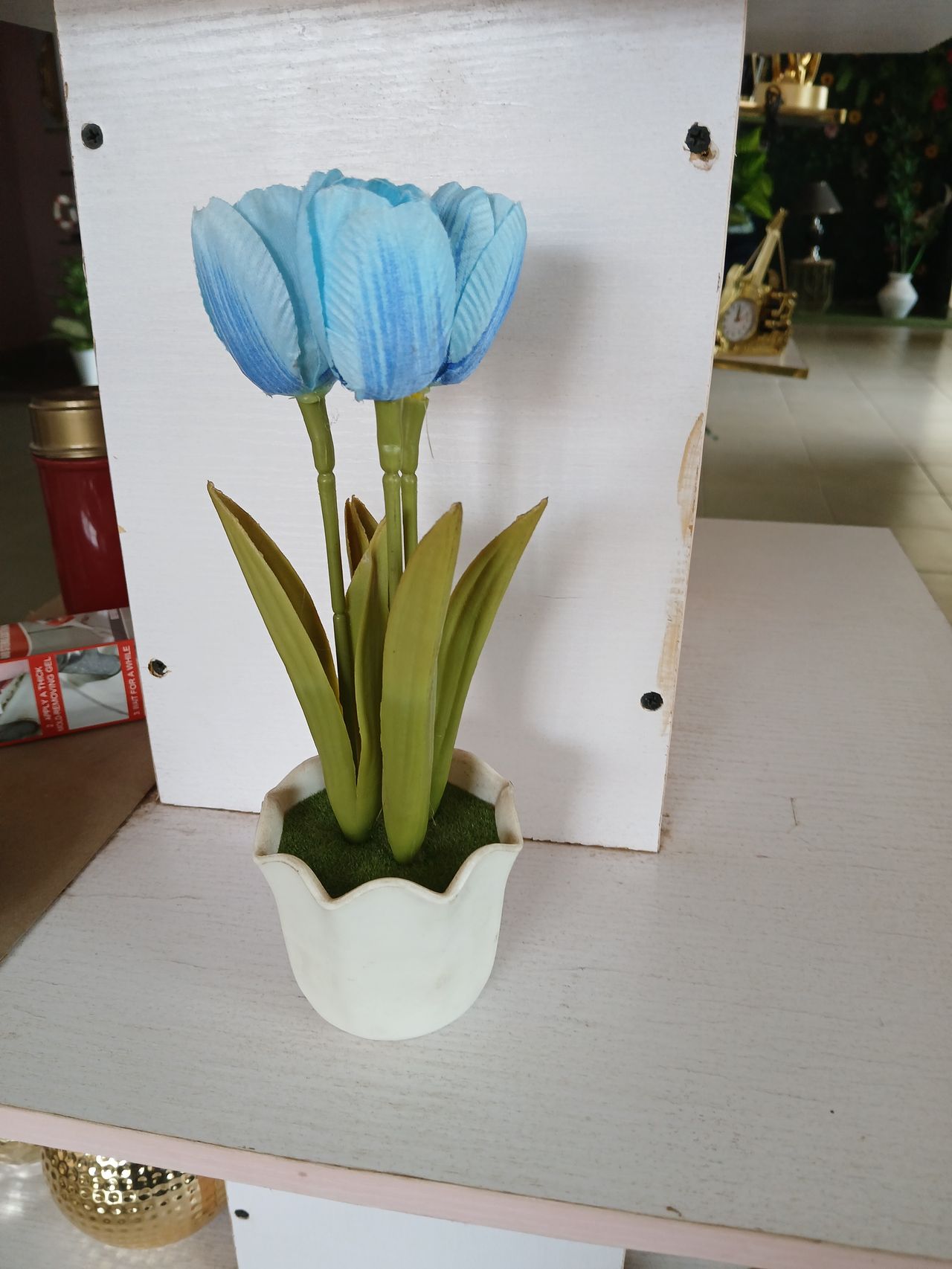 Potted Flower Vase Image