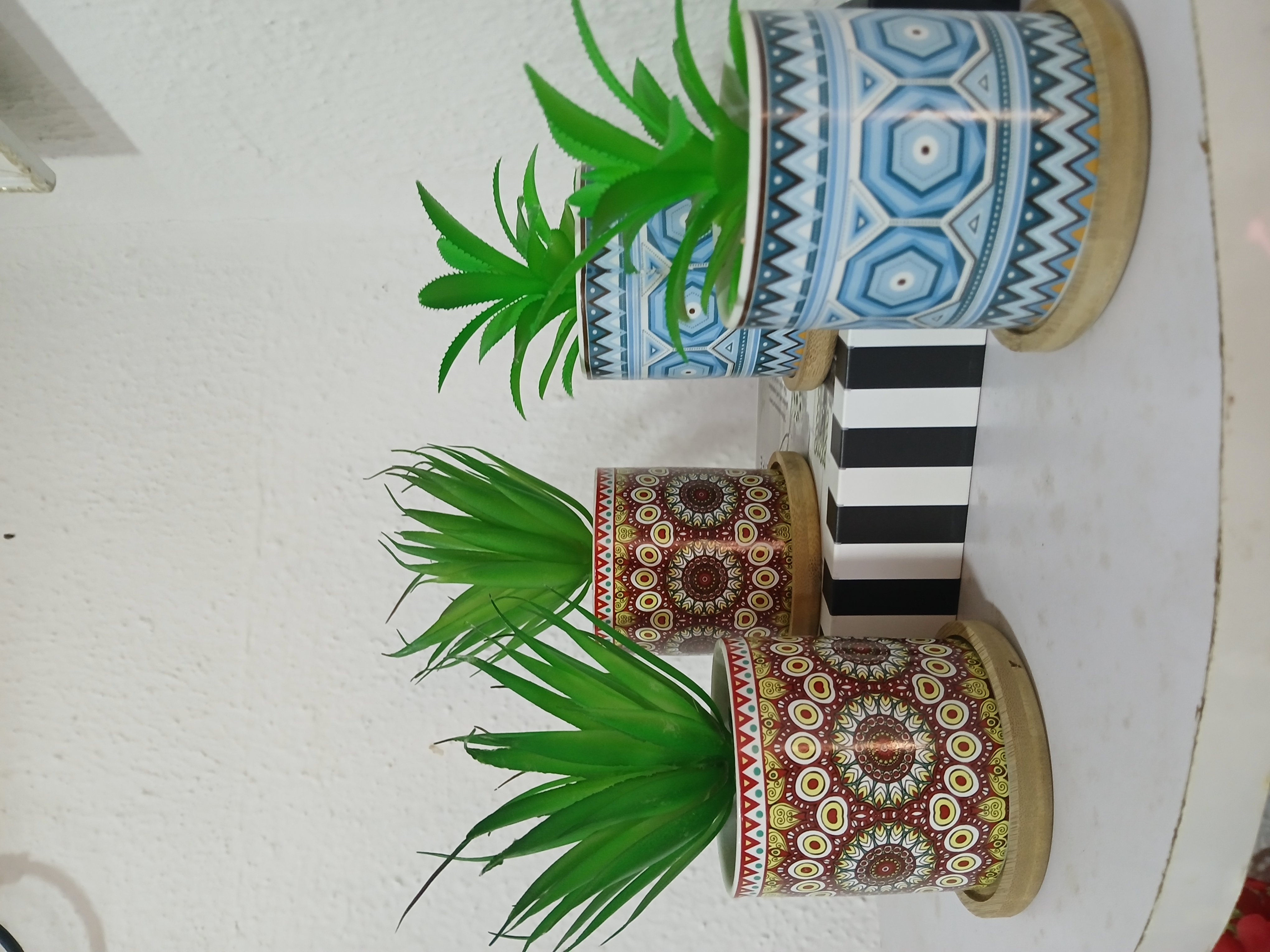 Trybe Potted Flower Image