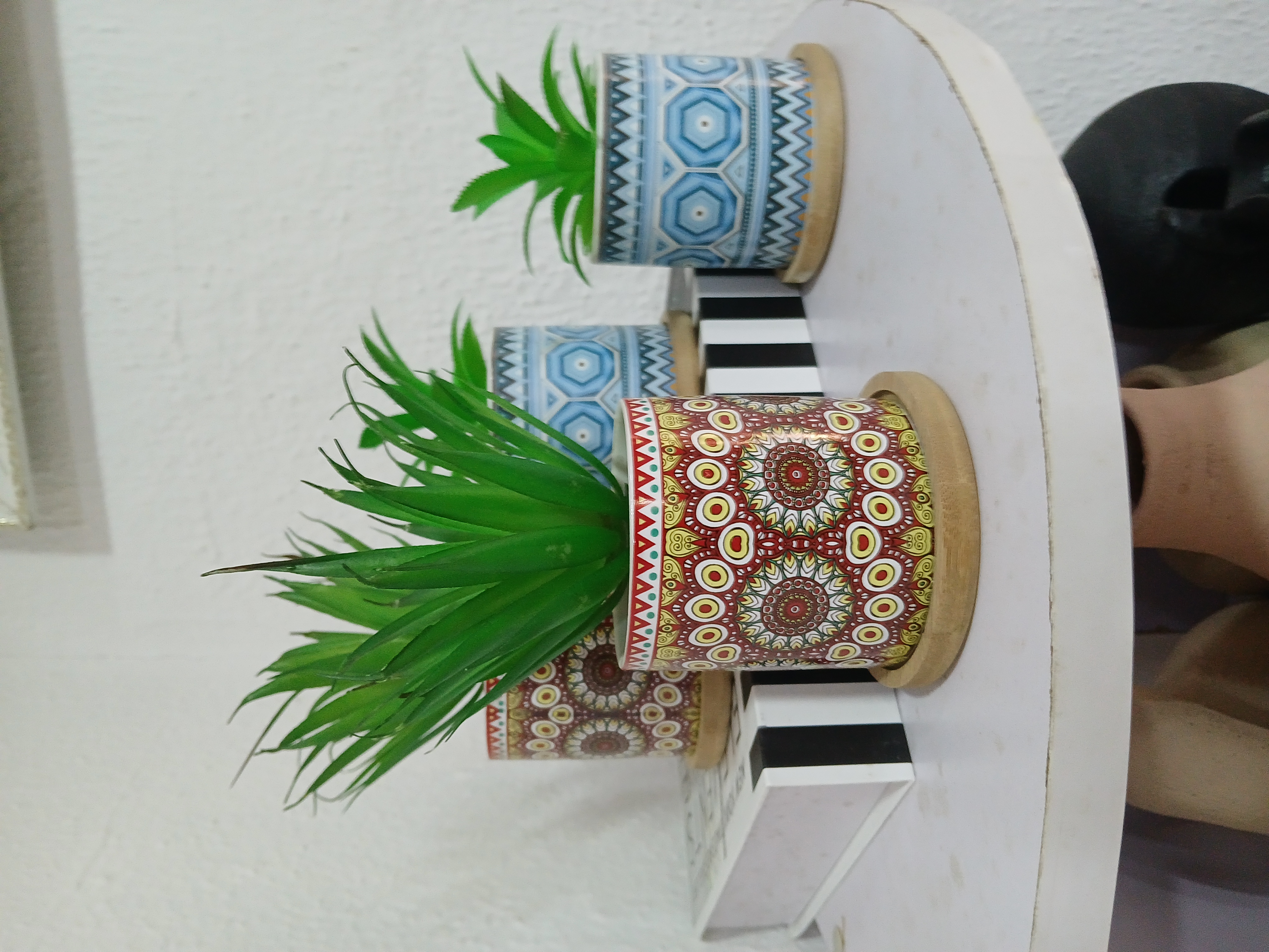 Trybe Potted Flower Image