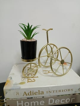 Nordic Bicycle Decor image
